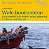 Ratgeber Wale beobachten