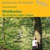 Ratgeber Waldbaden